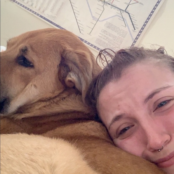 Meet your Posher, Dani - Picture 2 of 6